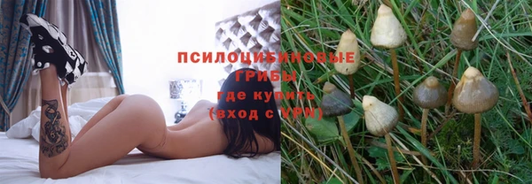 mix Алексеевка