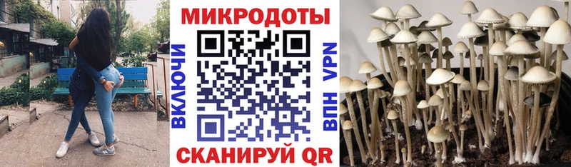 Псилоцибиновые грибы ЛСД  Нурлат 